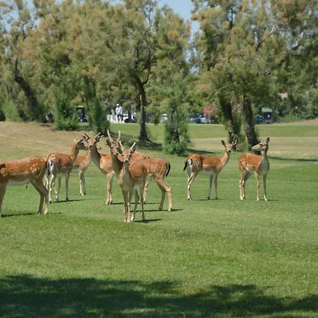 Couette-café La Foresteria Del Golf