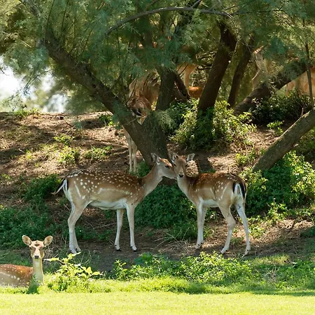 La Foresteria Del Golf *